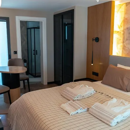 公寓 Mykonos Homes - Luxurioeses Penthouse Mit Rooftop Pool, Meerblick, Gym Kalogrea