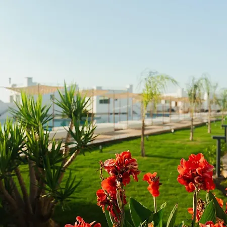 公寓 Mykonos Homes - Luxurioeses Penthouse Mit Rooftop Pool, Meerblick, Gym *